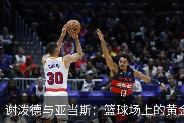 谢泼德与亚当斯：篮球场上的黄金搭档？